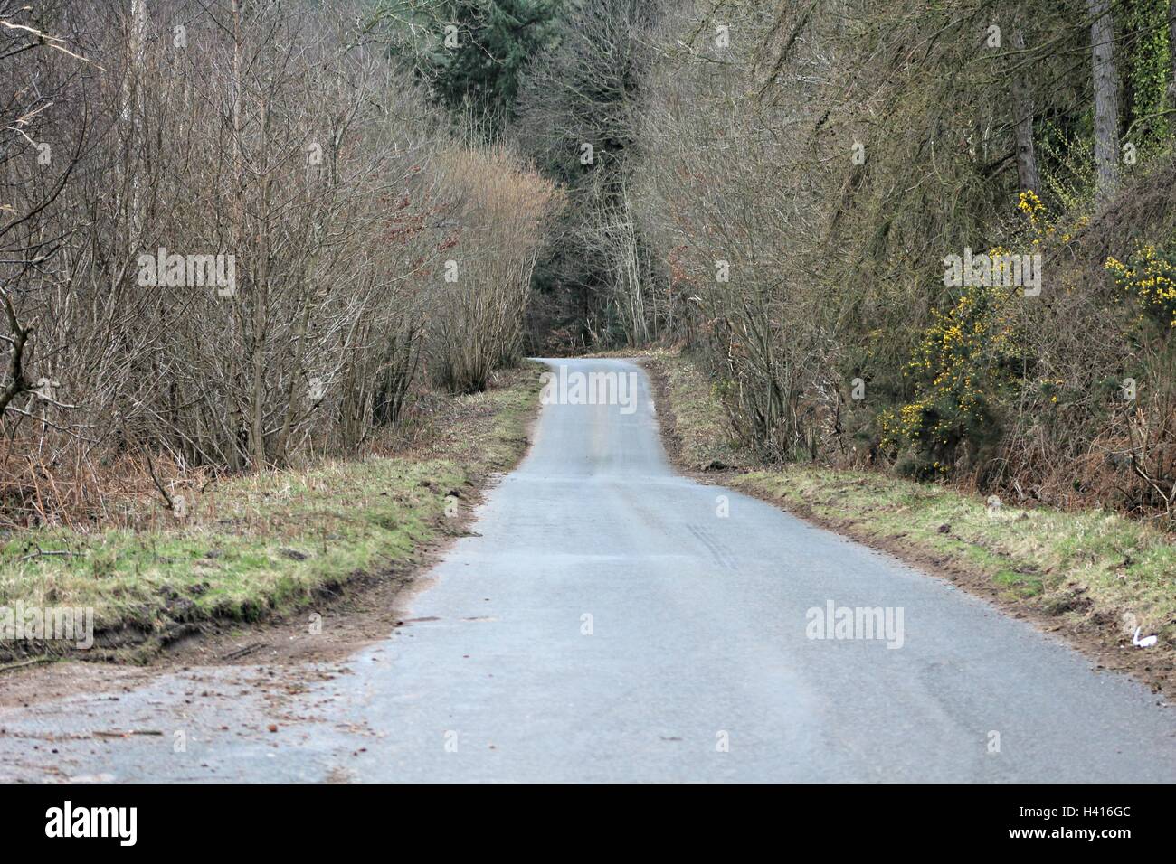 Long and lonely road hi-res stock photography and images - Alamy