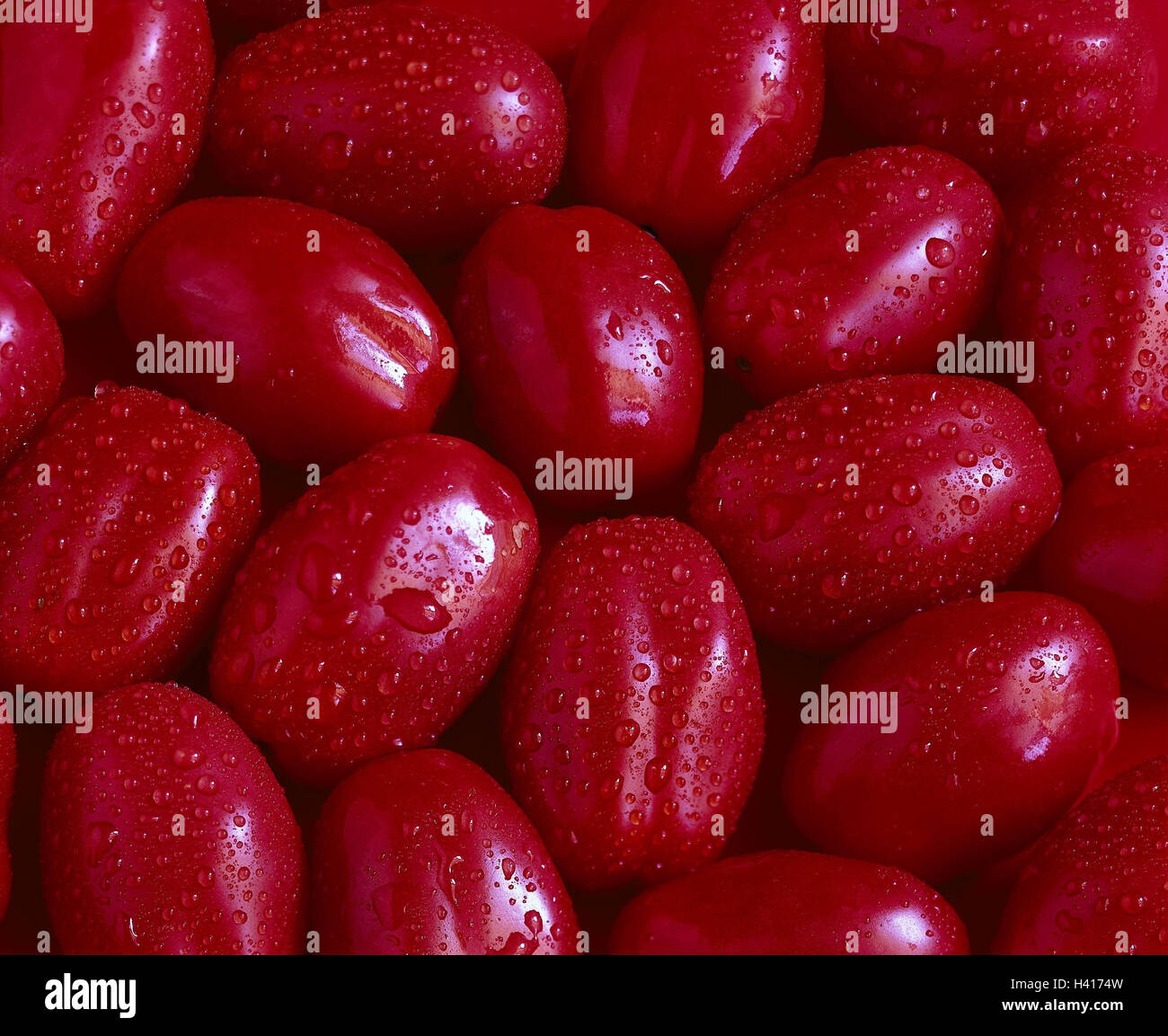 Egg tomatoes, wet, tomatoes, red, vegetables, solanum, paradise apple, Lycopersicon esculentum, drop water Stock Photo