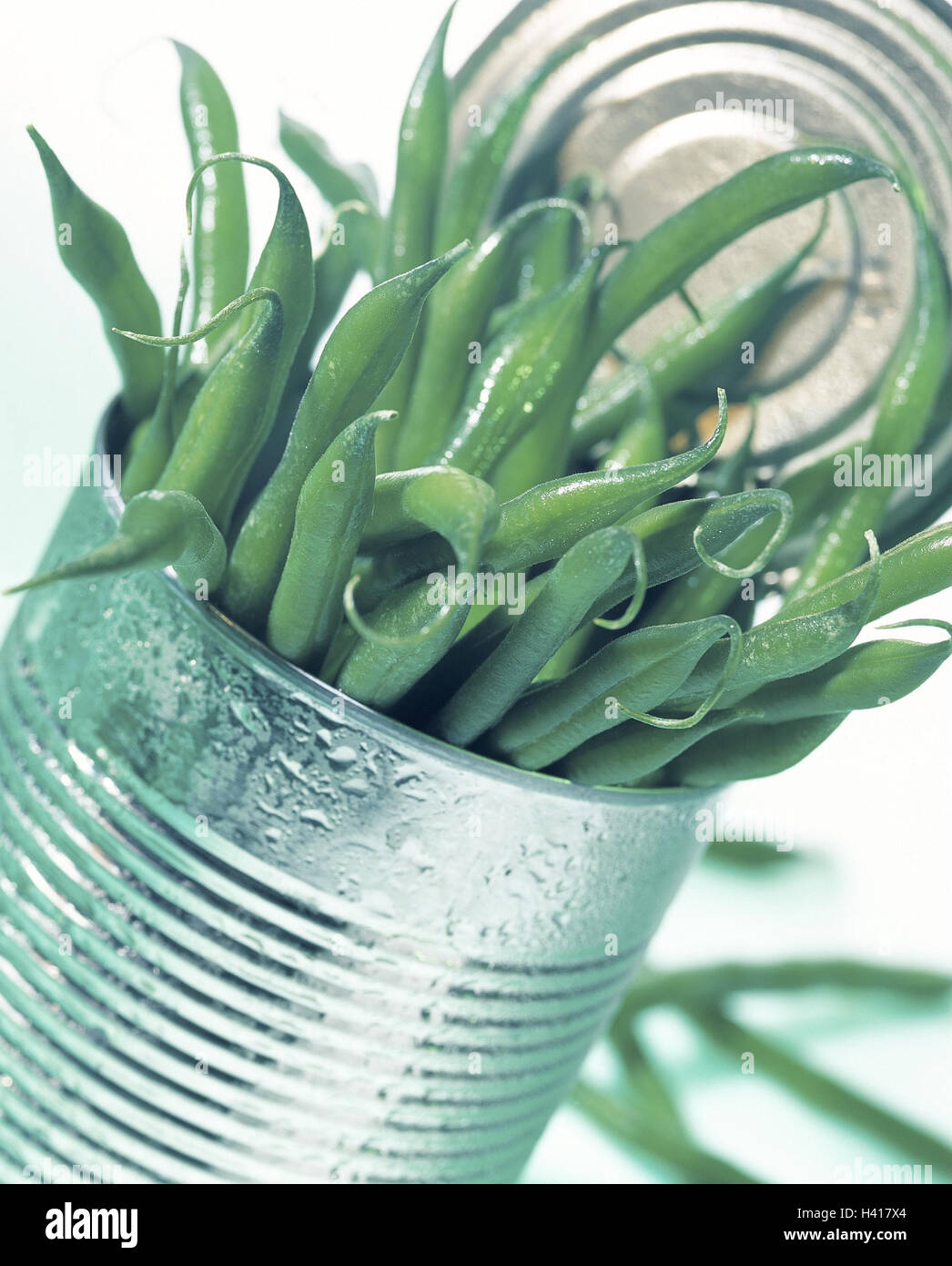 Canned food tin, French beans tin, tin plate, canned food, beans ...