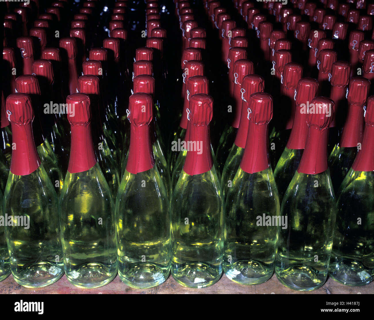 Sparkling Wine production, Bottles, befüllt, unlabeled, production, Sparkling Wine, alcohol