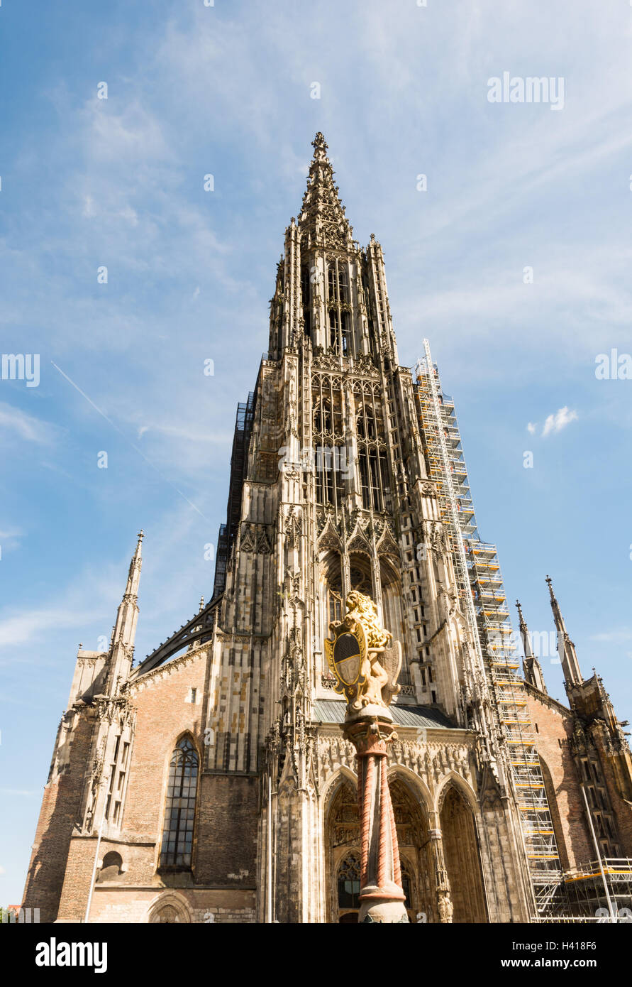 The Minster of Ulm (Germany Stock Photo Alamy