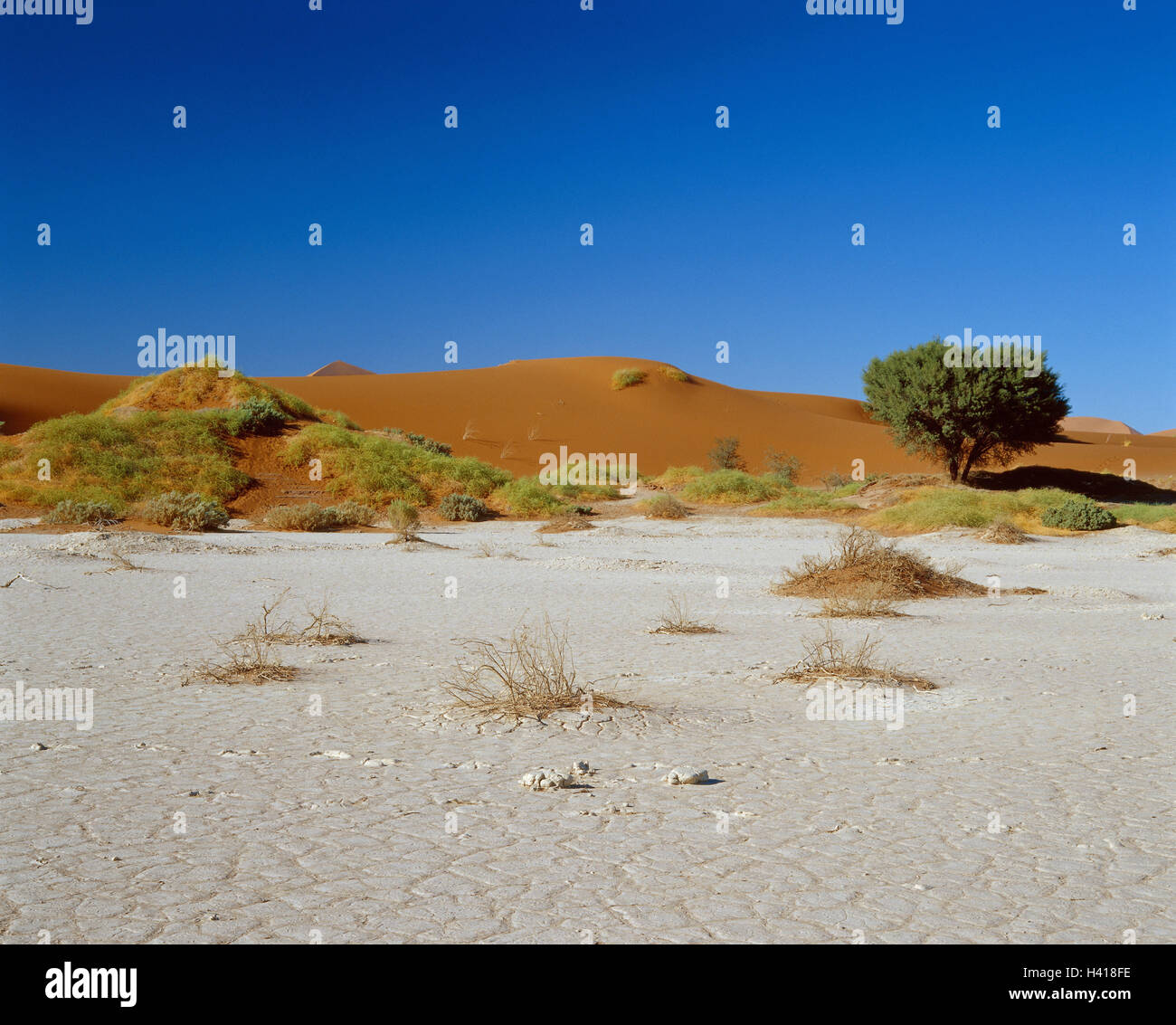 Anamibia Namibia, desert Namib, Sossusvlei, Sand dunes, vegetation, South-West ...