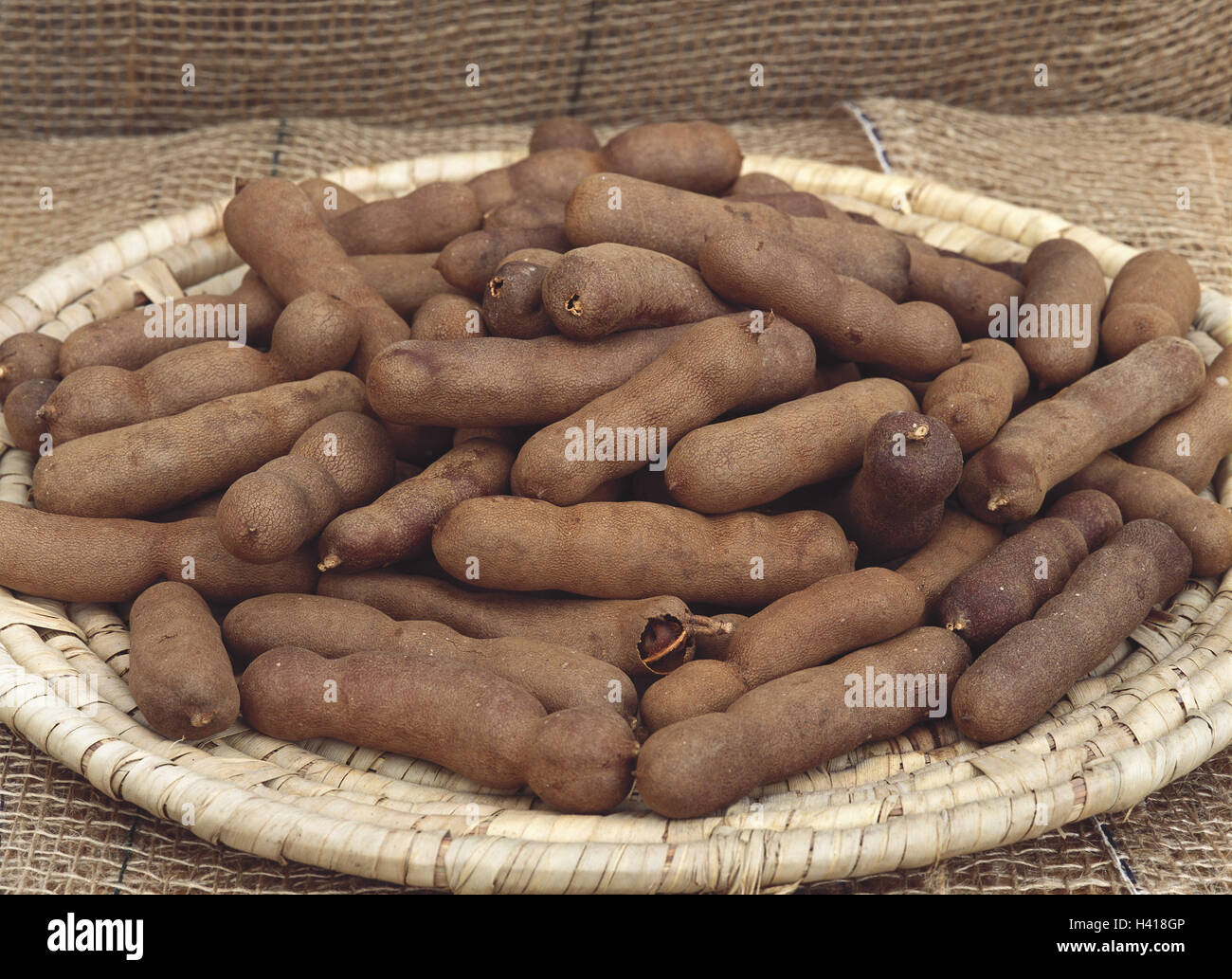 Basket, tamarind, Tamarindus indica, pods, Indian date, sour date