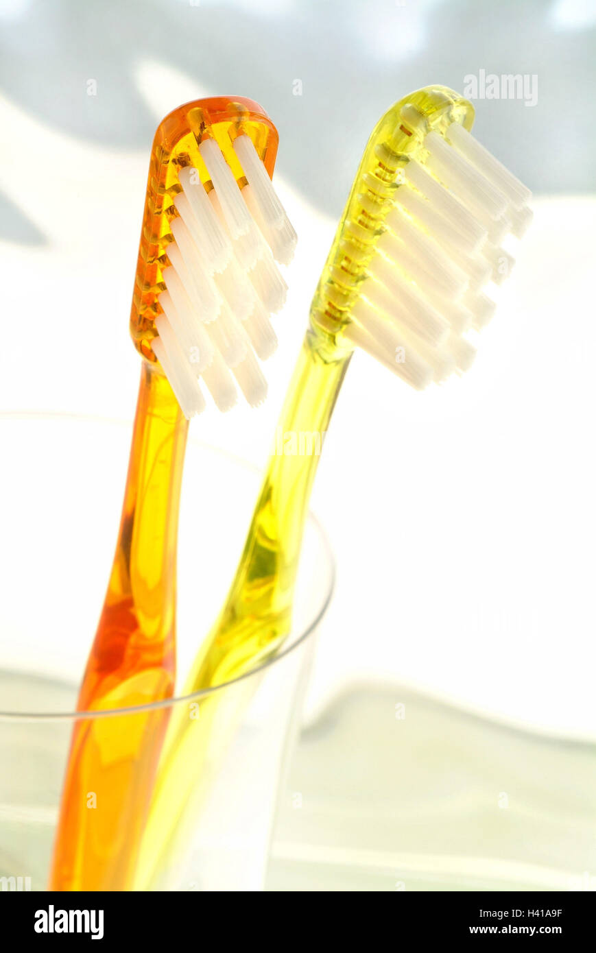 Glass, toothbrushes, hygiene, personal care, oral hygiene, cog hygiene