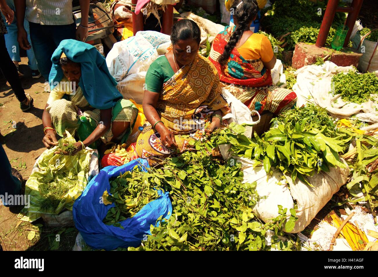 Herb india hires stock photography and images Alamy