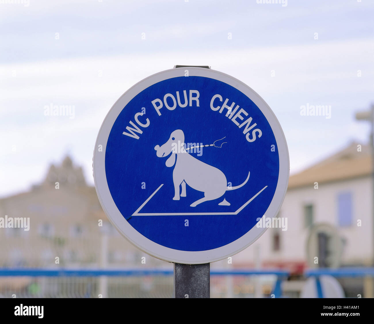 Mer Dog Stock Photos Mer Dog Stock Images Alamy