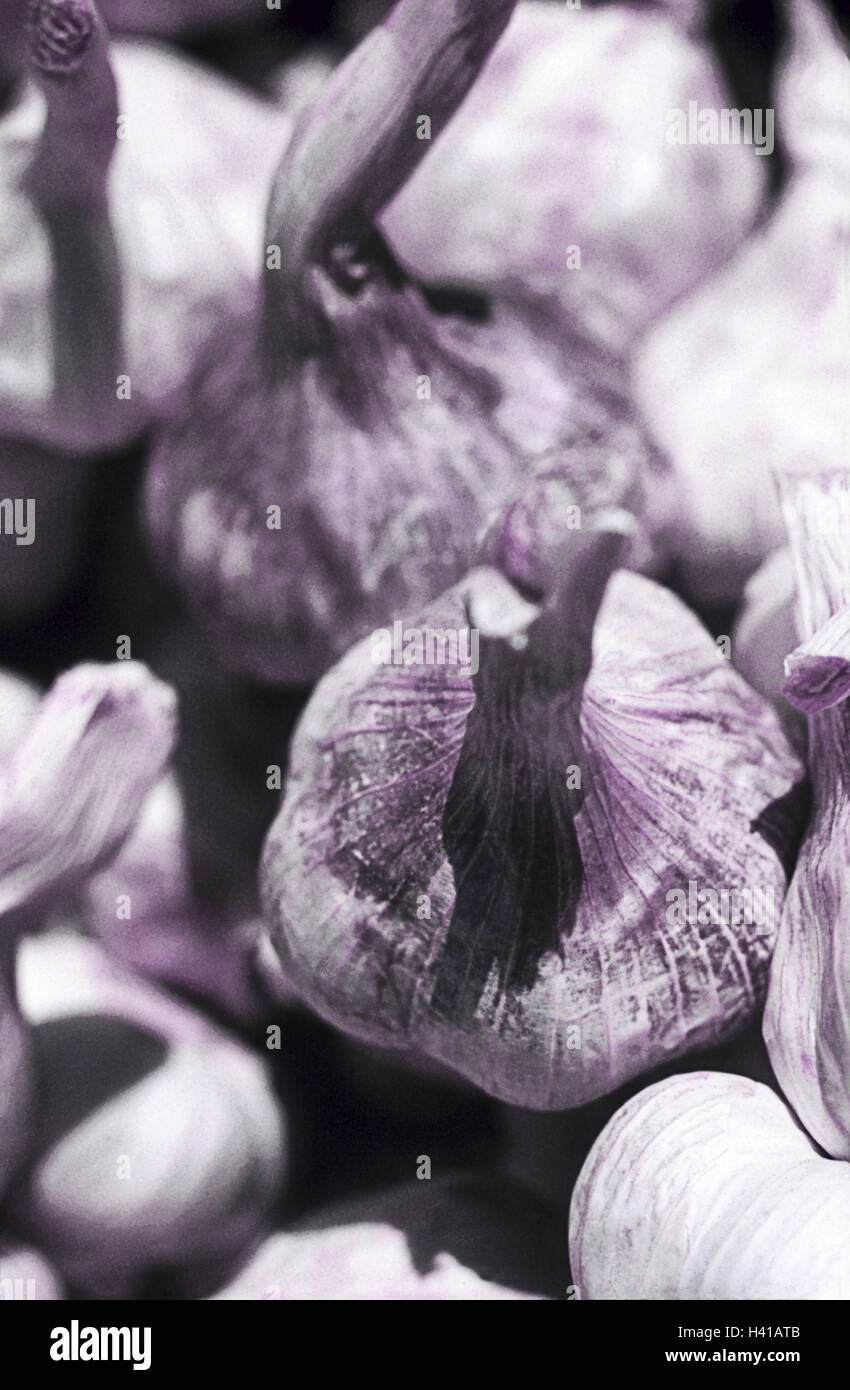 Garlic nodules, Still life, garlic, vegetables, spice plant, medicinal plants, spice, drug, leek kind, Allium sativum, garlic nodule, nodules, healthy, health, manipulated, close up Stock Photo