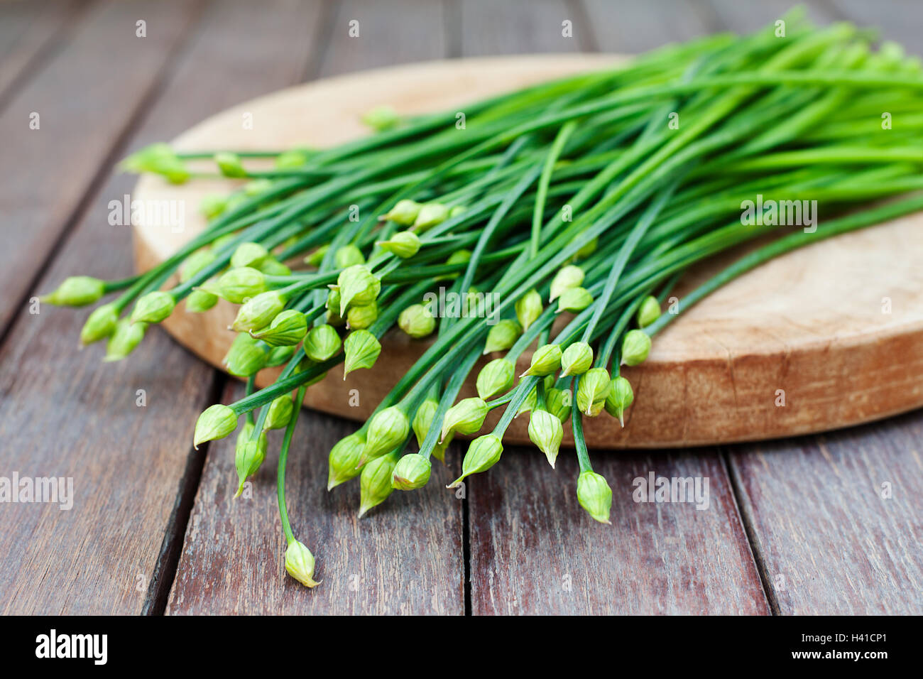 Chives flower, Garlic chives or Chinese Chive. Stock Photo