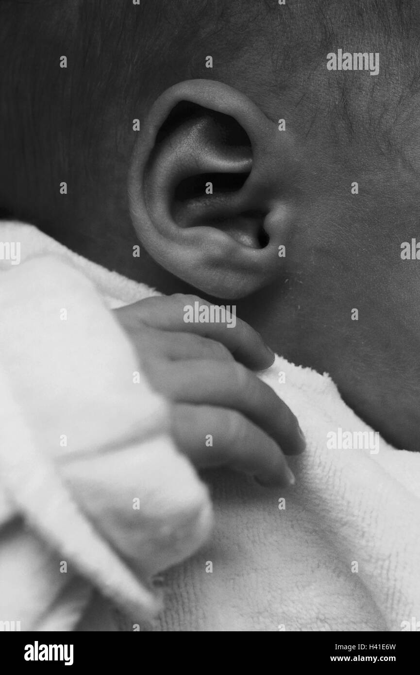 Baby, detail, ear, hands, b/w, very close, inside, infant, child, sleep