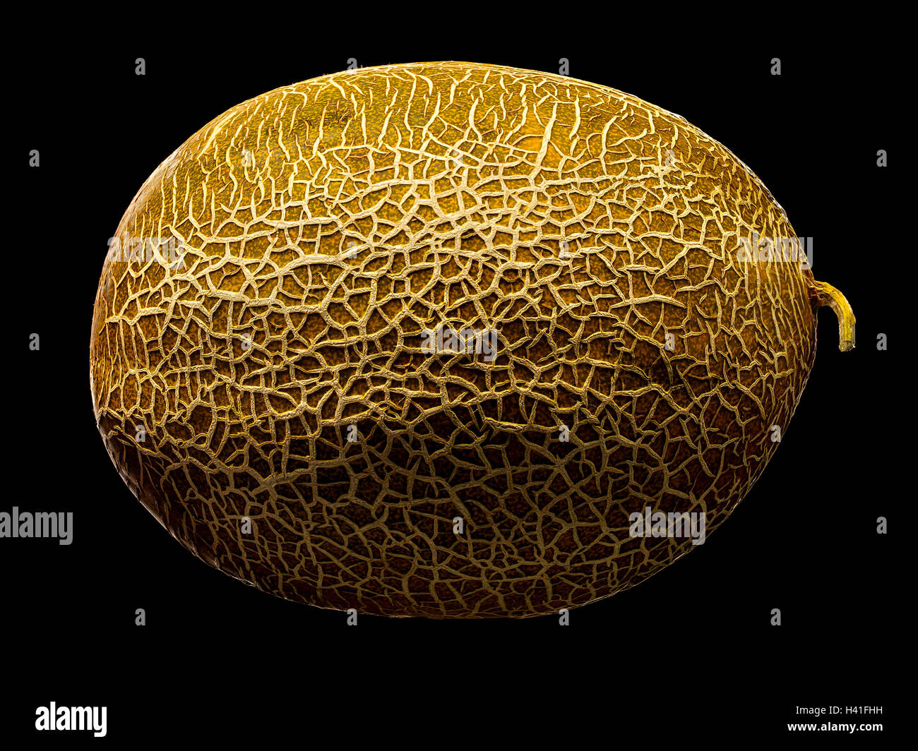 Melon isolated on black background Stock Photo - Alamy