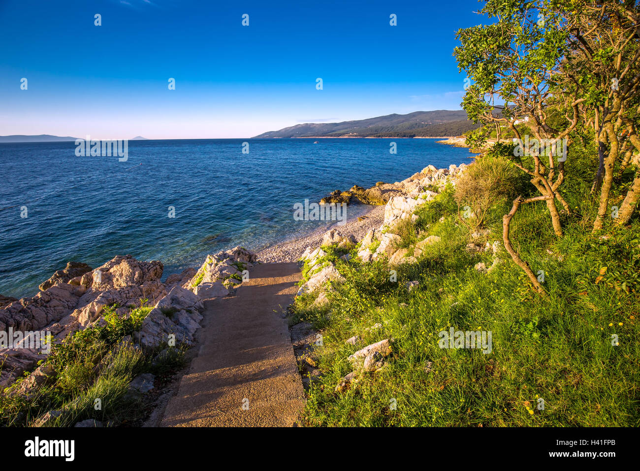Amazing beach with crystalic clean sea water with pine trees over the Adriatic sea, Istria, Croatia Stock Photo