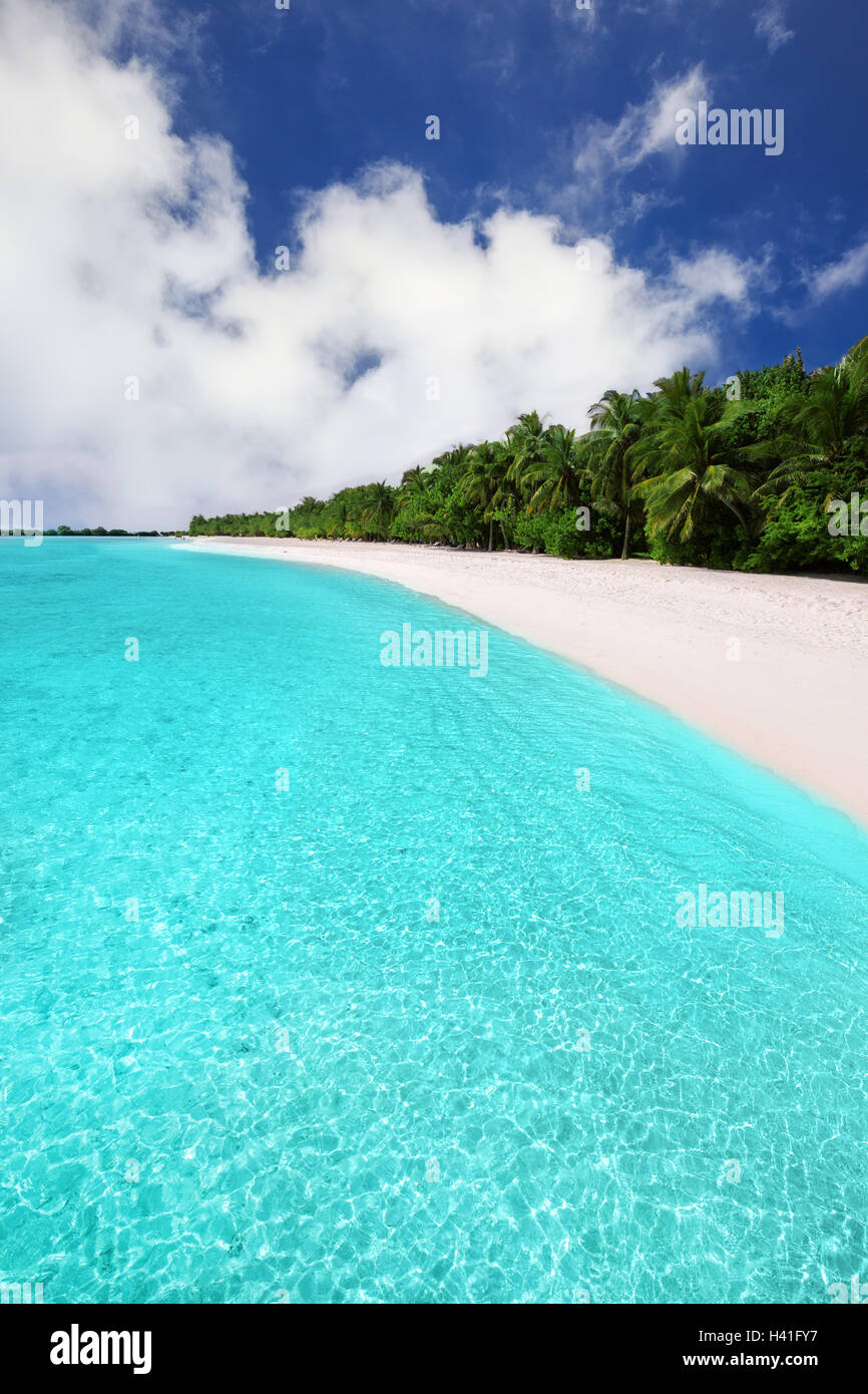 Tropical Maldives island with sandy beach with palm trees and tourquise clear water Stock Photo