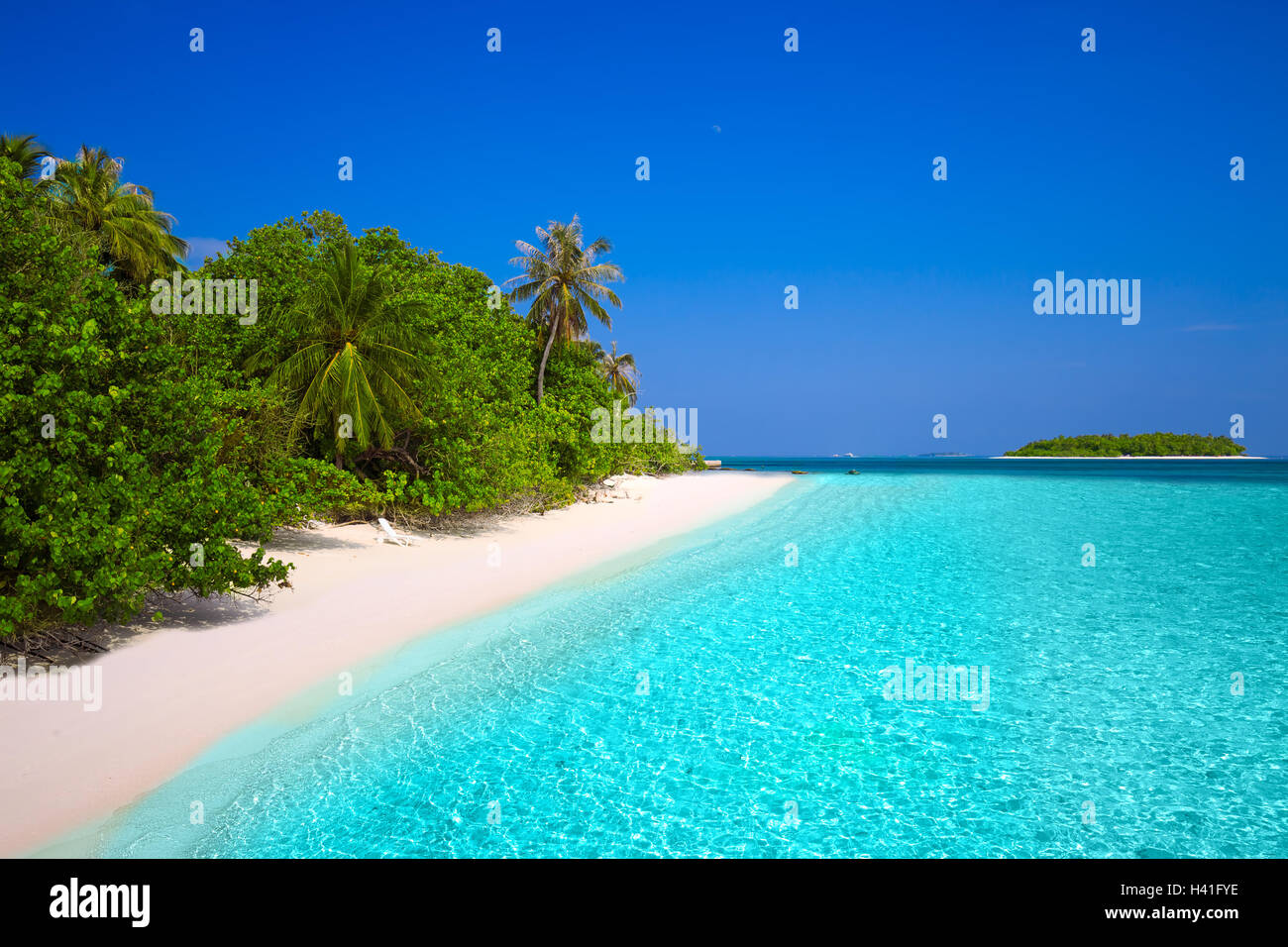 Tropical Maldives island with sandy beach with palm trees and turquoise clear water Stock Photo