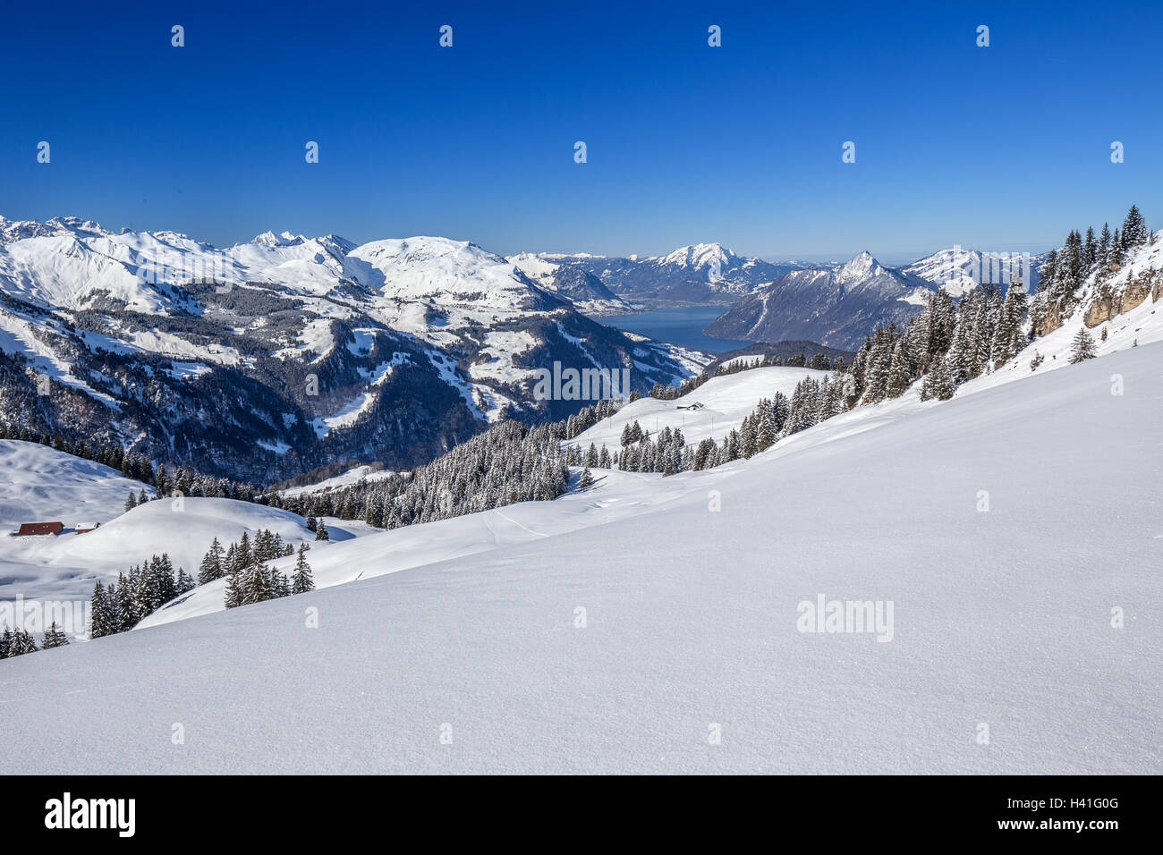 Lake Lucerne and Swiss Alps covered by fresh new snow seen from the Spirstock peak in Hoch-Ybrig ski resort, Central Switzerland Stock Photo