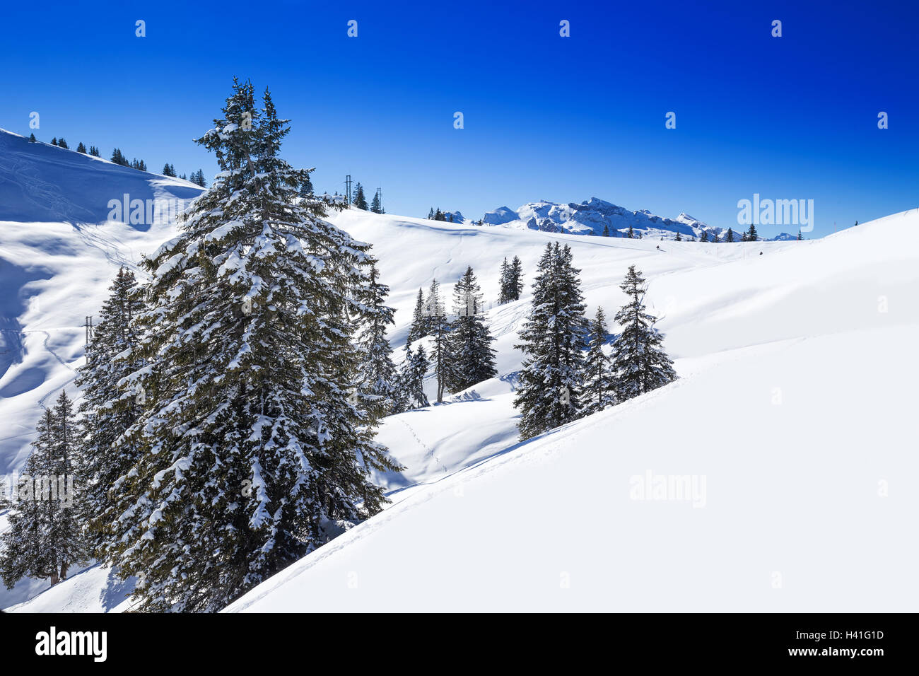 Swiss Alps covered by fresh new snow seen from Hoch-Ybrig ski resort, Central Switzerland Stock Photo
