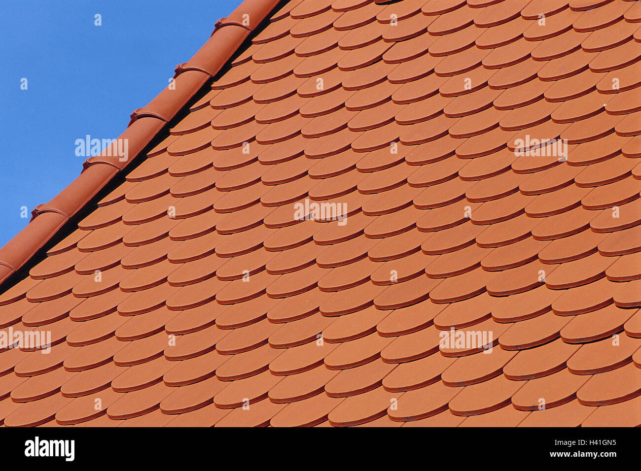 House roof, close up, beaver's tail clay brick, building, house, roof, roofing tile, shingle-like, roofing, detail Stock Photo