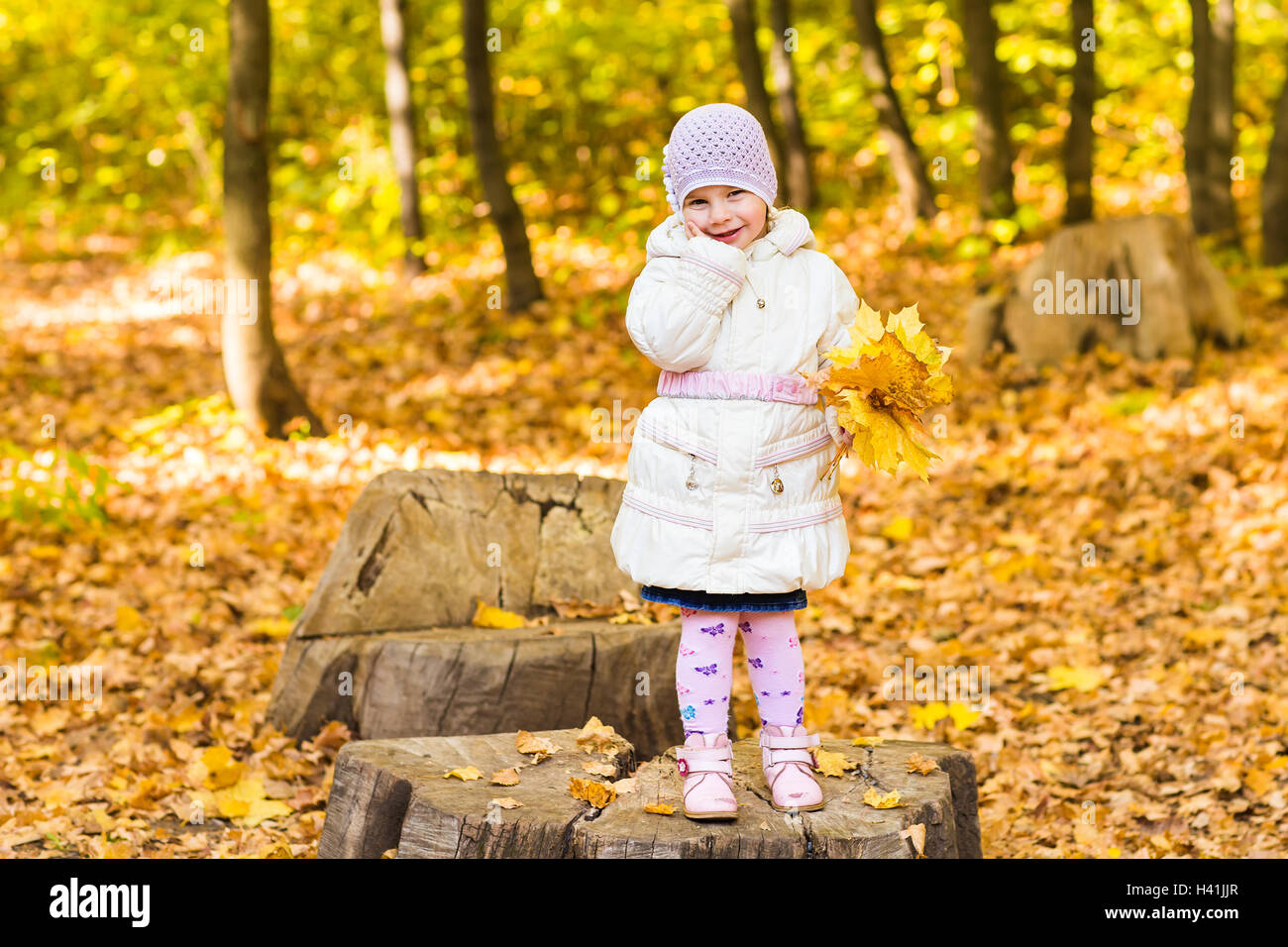adorable little girl with autumn leaves in the beauty park Stock Photo ...