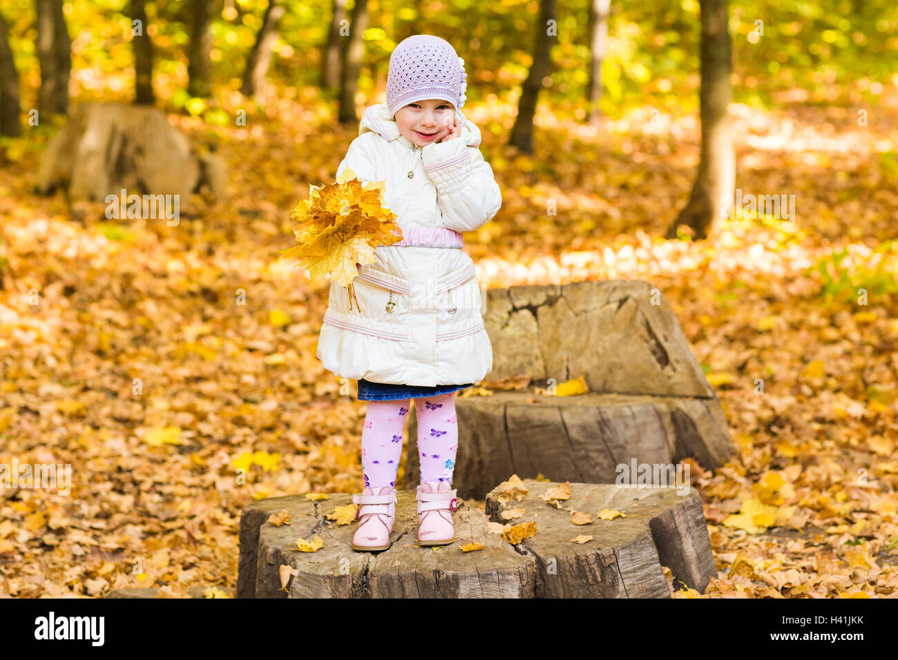 adorable little girl with autumn leaves in the beauty park Stock Photo ...