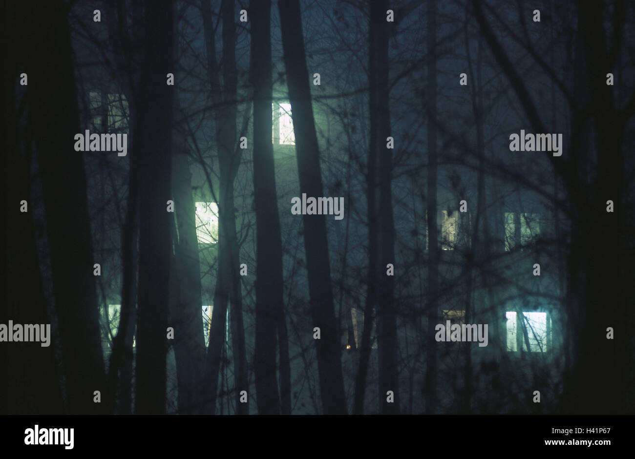 Edge the forest, bushes, branches, view, residential house, window, illuminateds, night wood, house, buildings, apartment block, light, burn, in, lights, darkness, icon, conception, mysteriously, mystically, awfully, gespenstig, grimly, shadowy, darkly, fear, mood Stock Photo