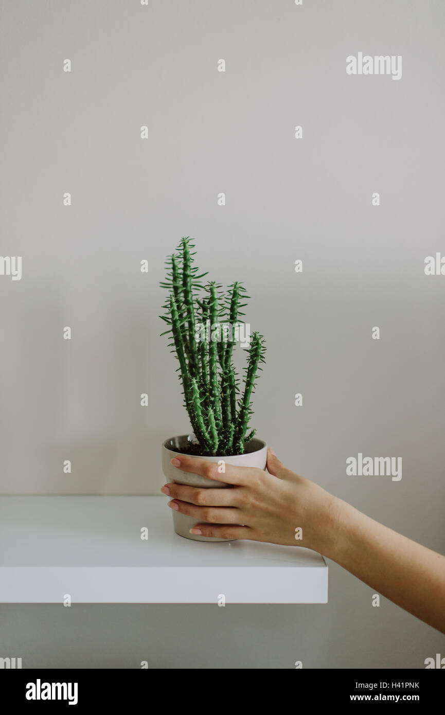 Woman holding plant pot Stock Photo - Alamy