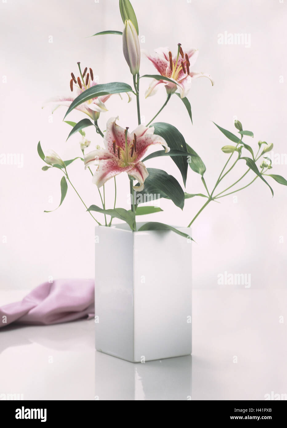 Vase, lily, blossom flower vase, angularly, white, flower, flowers, blossoms, flowerage, admirably, living space decoration, elegant, classically, ornamentally, conception, odour, fragrant, aroma, flower odour, beauty, Still life Stock Photo