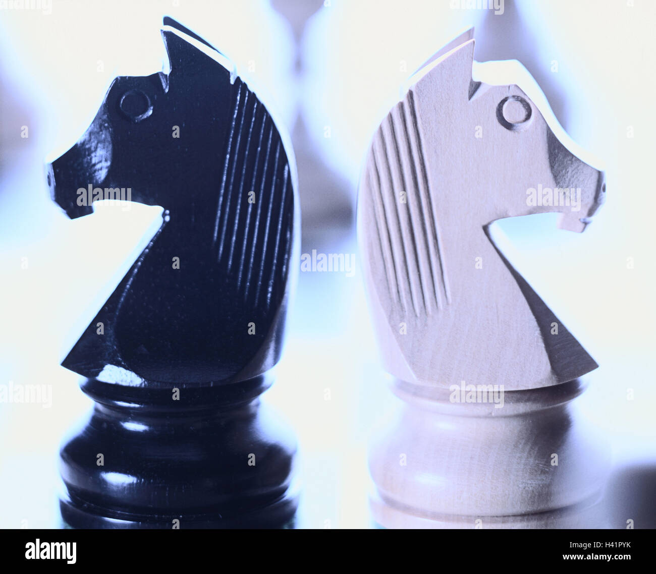 Chess horse hi-res stock photography and images - Alamy