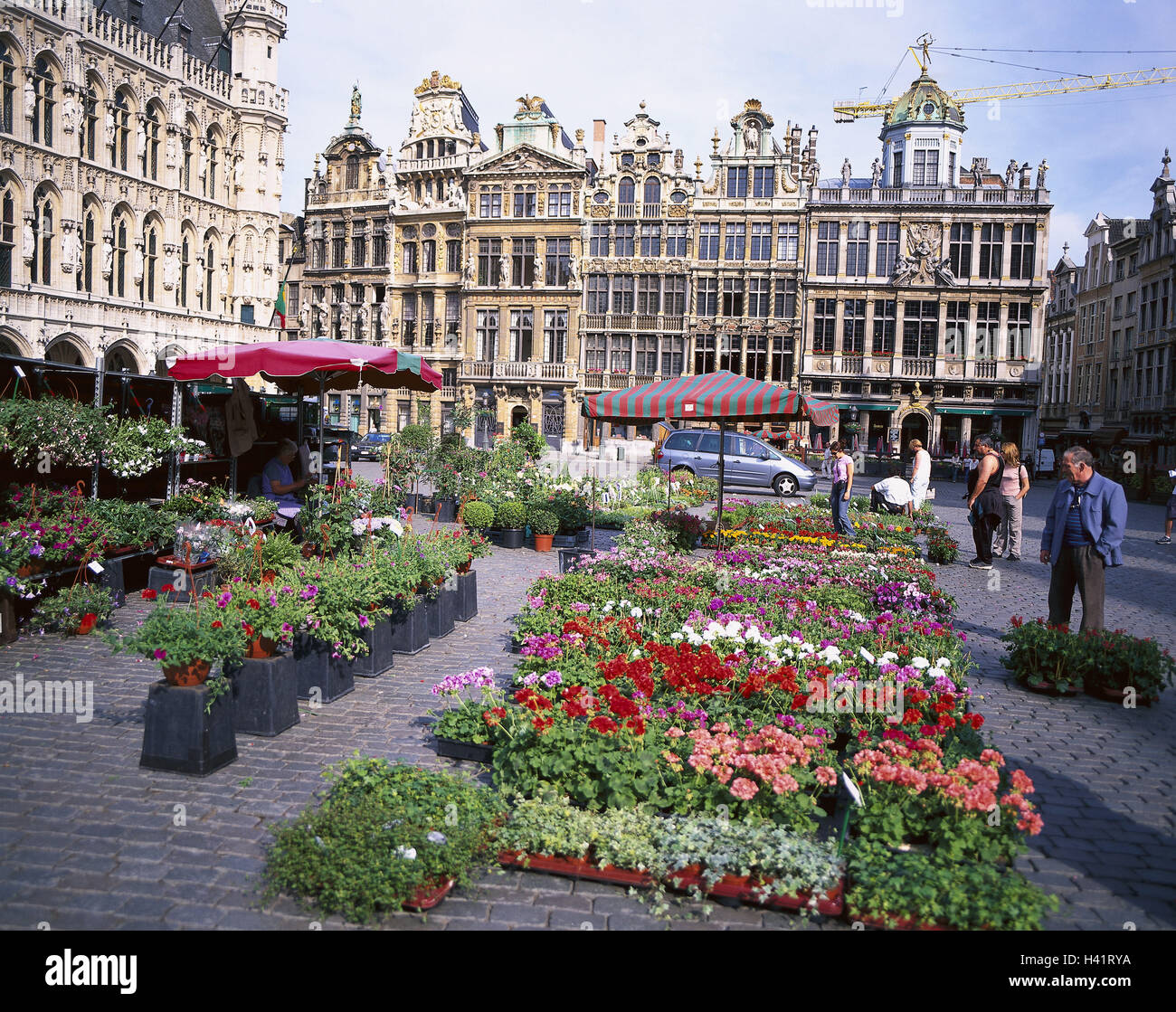 Belgium, Brussels, grandee Place, flower market, Europe, Benelux ...