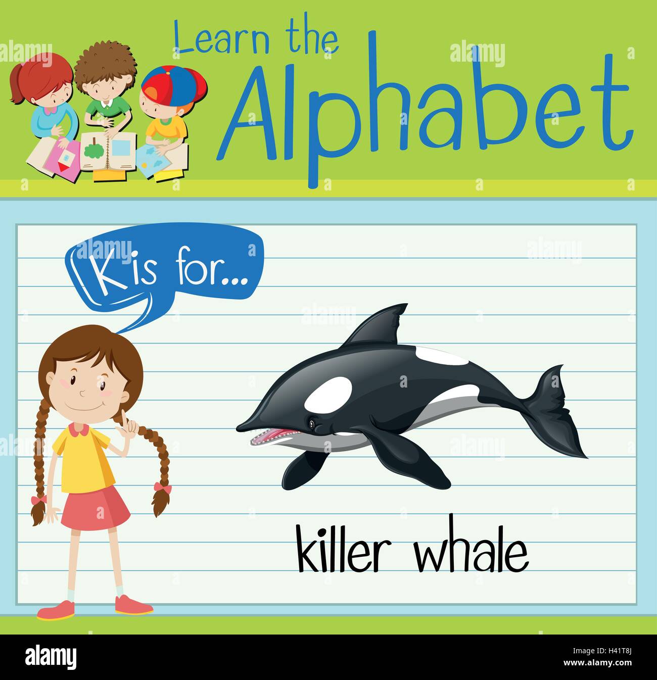 Flashcard letter K is for killer whale illustration Stock Vector