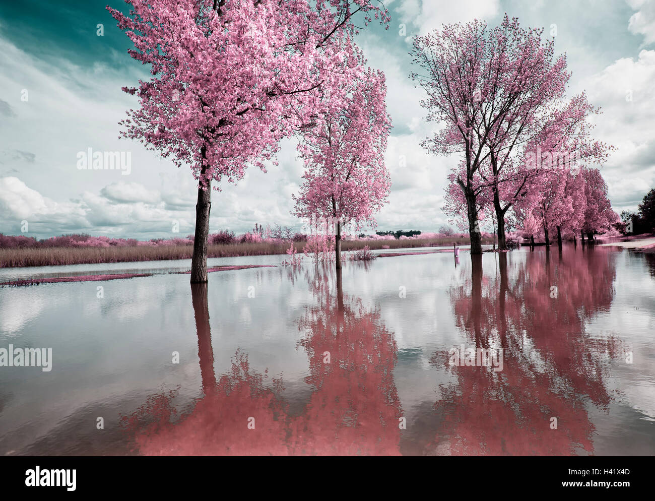 Artistic scenery hi-res stock photography and images - Alamy
