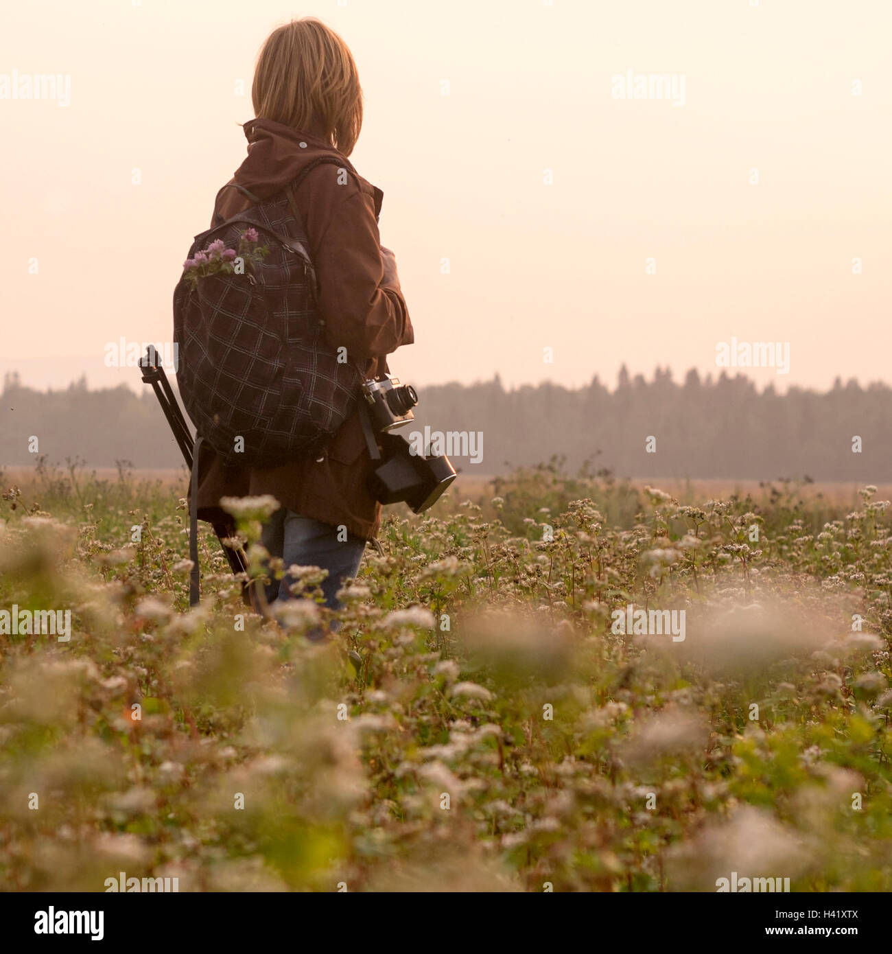 Standing in flower field hi-res stock photography and images - Alamy