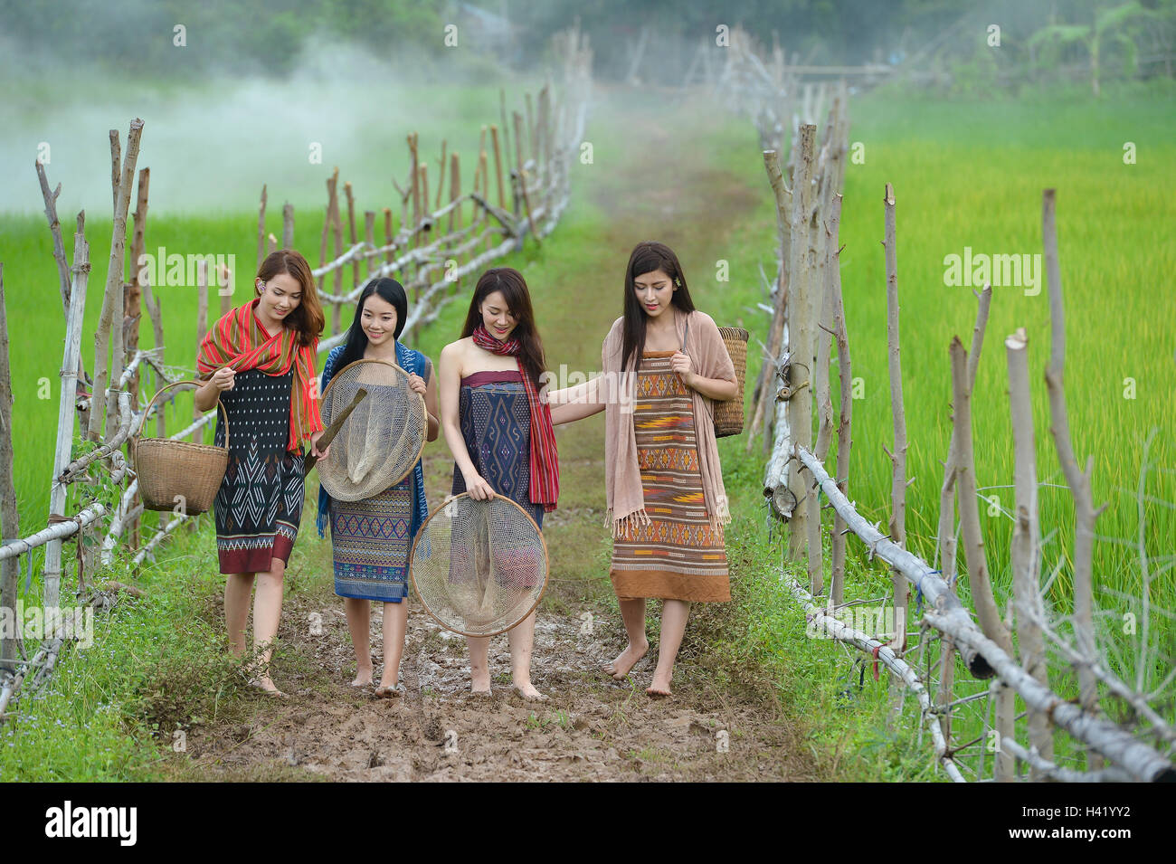 Four women walking along footpath between rice fields, Thailand Stock Photo
