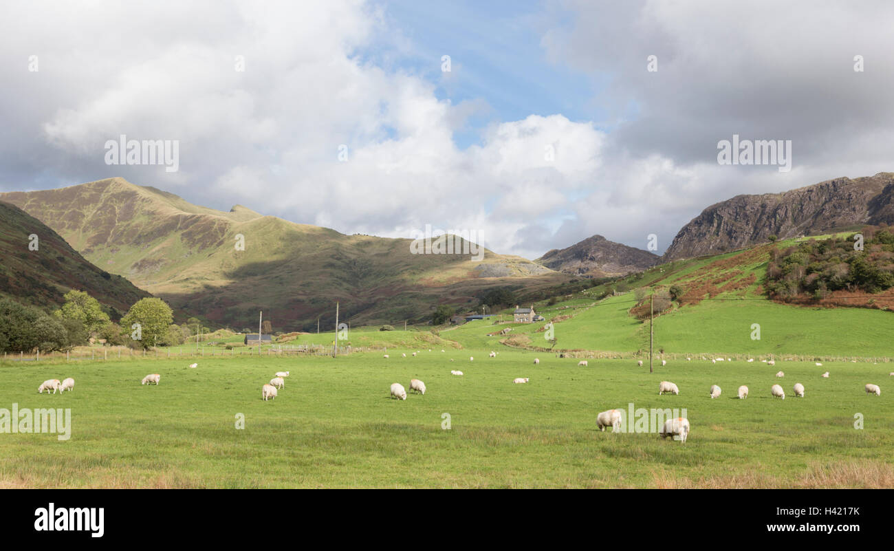 The head of Cwm Pennant valley and in the distance the Nantlle Ridge