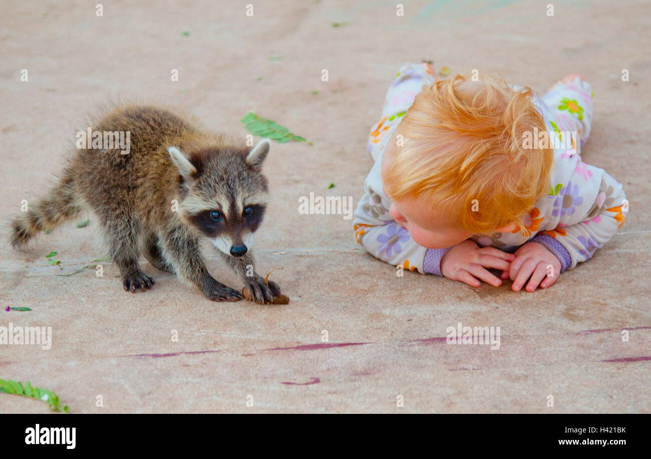 Curious Little Toddler Stock Photo