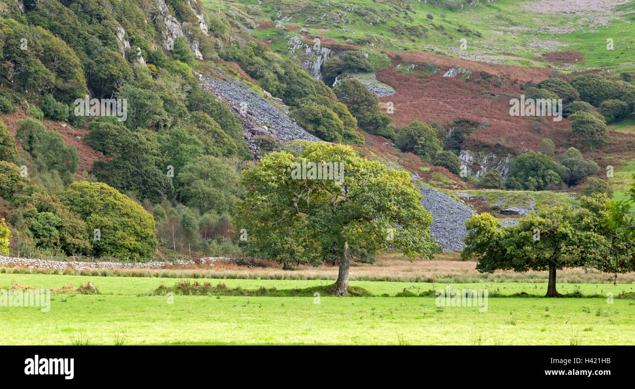 Old mine workings in Cwm Pennant, Snowdonia national Park, North Wales, UK Stock Photo