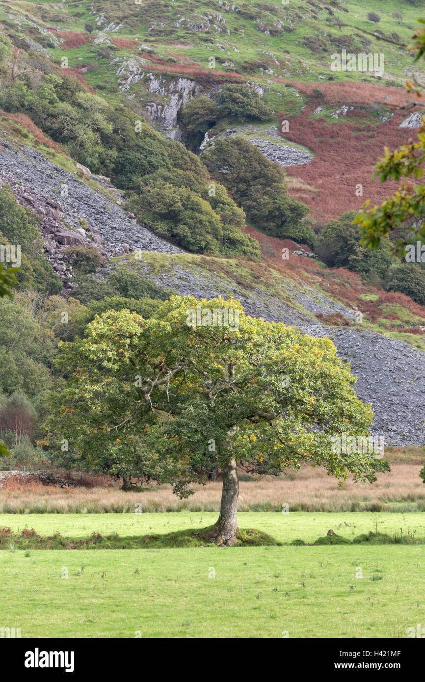 Old mine workings in Cwm Pennant, Snowdonia national Park, North Wales, UK Stock Photo