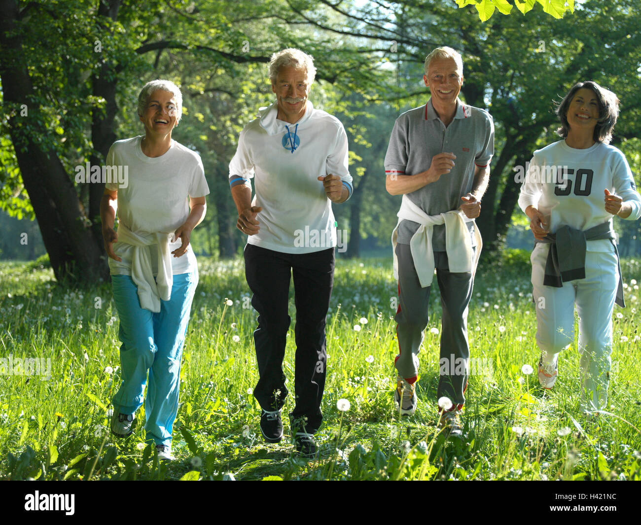 Wood, lumen, senior citizens, jog group, group picture, senior citizen's  group, Best Age, friends, four, together, fun, motion, actively, activity,  fit, fitness, vital, vitality, sportily, sport, run, running, jogging,  summer, outside, nature,