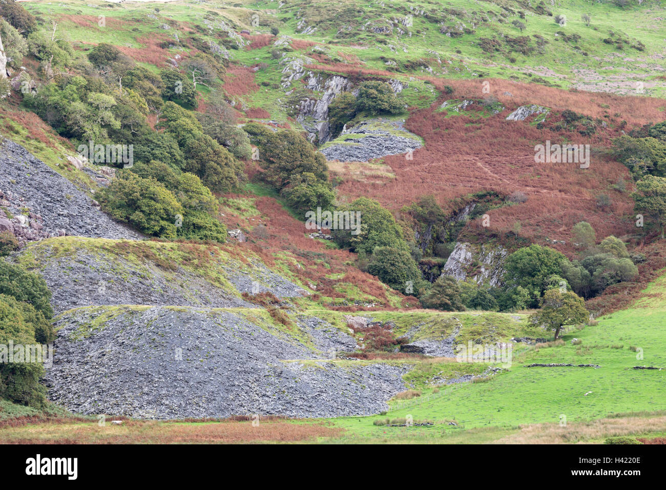 Old mine workings in Cwm Pennant, Snowdonia national Park, North Wales, UK Stock Photo