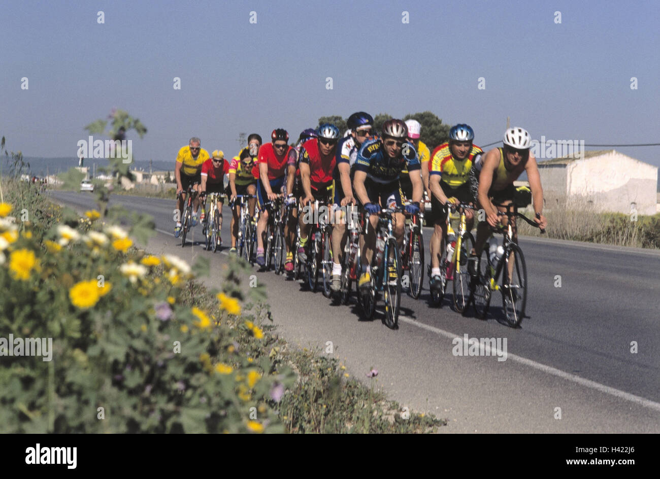 Spain, Majorca, coll. d'en Rabassa, street, racing cyclist, group, no model release the Mediterranean Sea, the Balearic Islands, island, country road, sportsman, cyclist, team, racing wheels, riding of a bike, drive, Rennradfahren, cycling tour, bicycle d Stock Photo