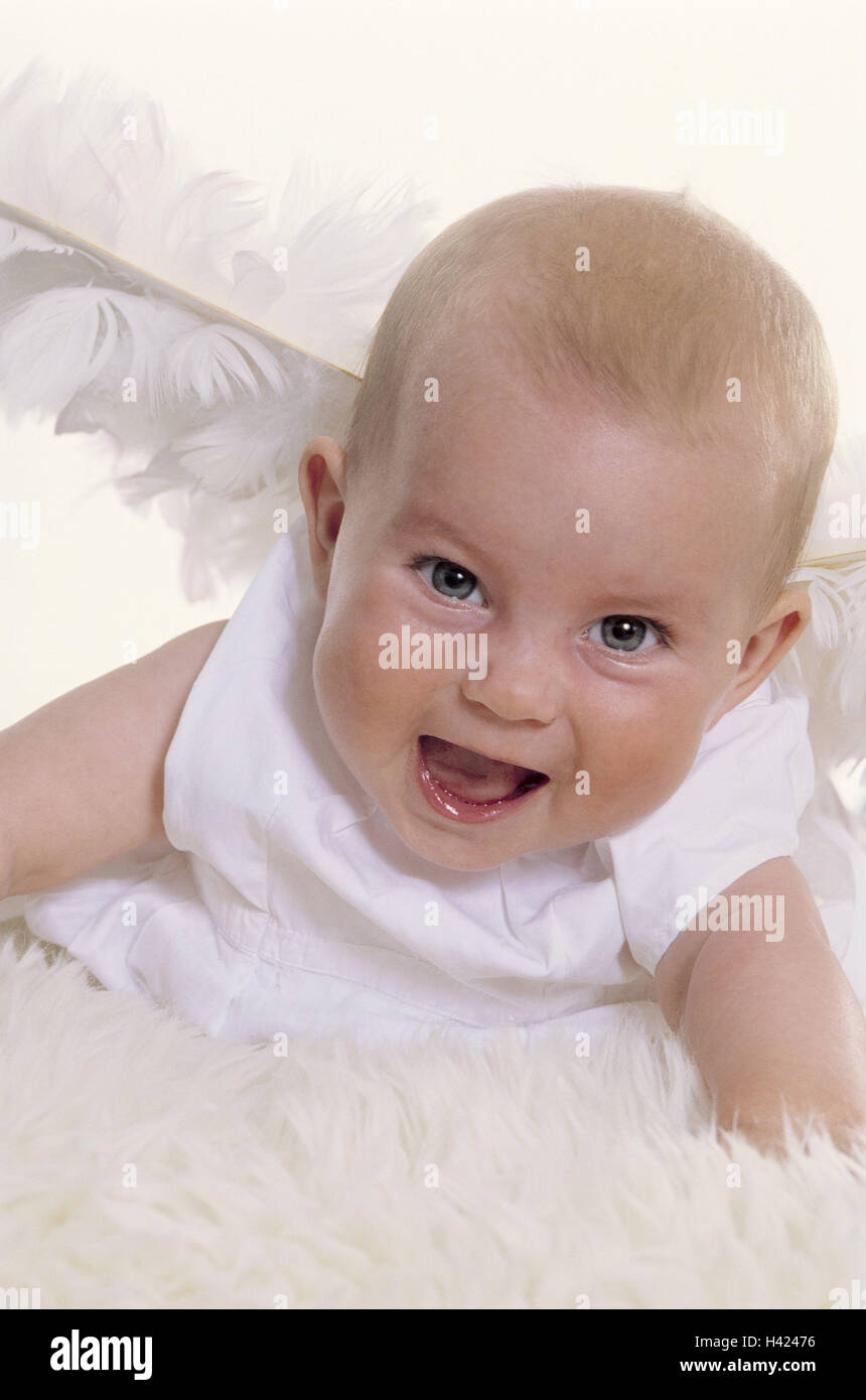 Baby, angel's wing, laugh child, infant, girl, wing, white, little angels, lambskin, lie, softy, snugly, Christmas, yule tide, x-mas, soft night angel, angel, angel's wing, childhood, innocence, lining, fun, humor, Christmas baby, funnily, happy, studio Stock Photo