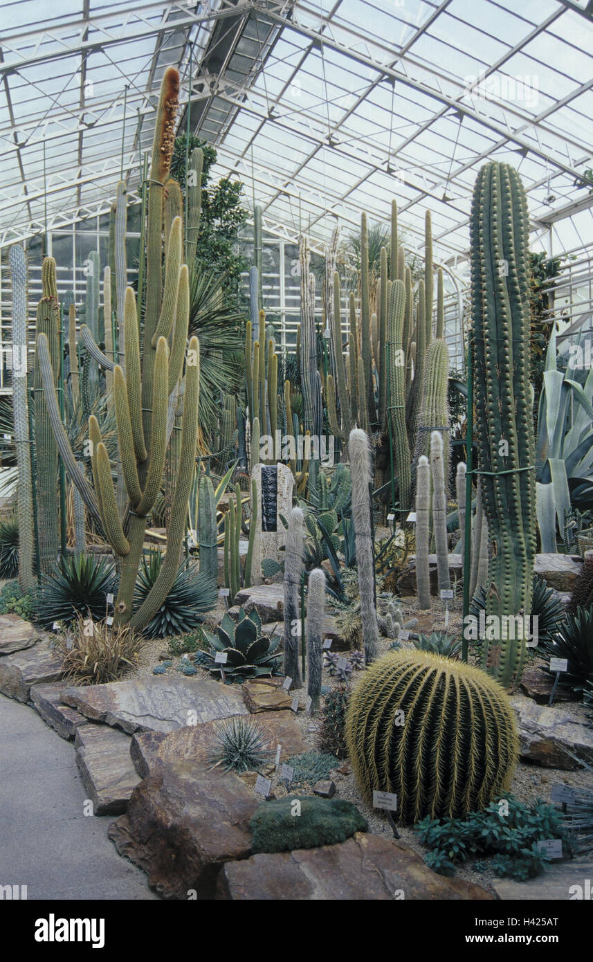 Germany, Bavaria, Munich, nymph castle, botanical garden, cactus house  Europe, Upper Bavaria, park, park, garden, greenhouse,