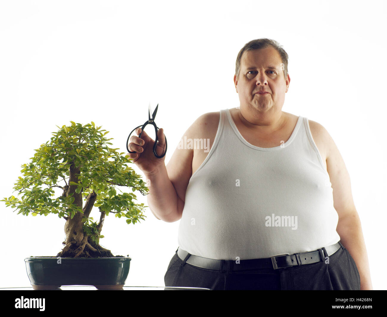 Man, vest, half portrait, seriously, scissors, bonsai tree, leisure time, hobby, recreation, rest, gardener, amateur gardener, middle old person, thickly, bold, overweight, fat, fatly, adiposity, obesity, obesity, body perimetre, largely, voluminously, ma Stock Photo