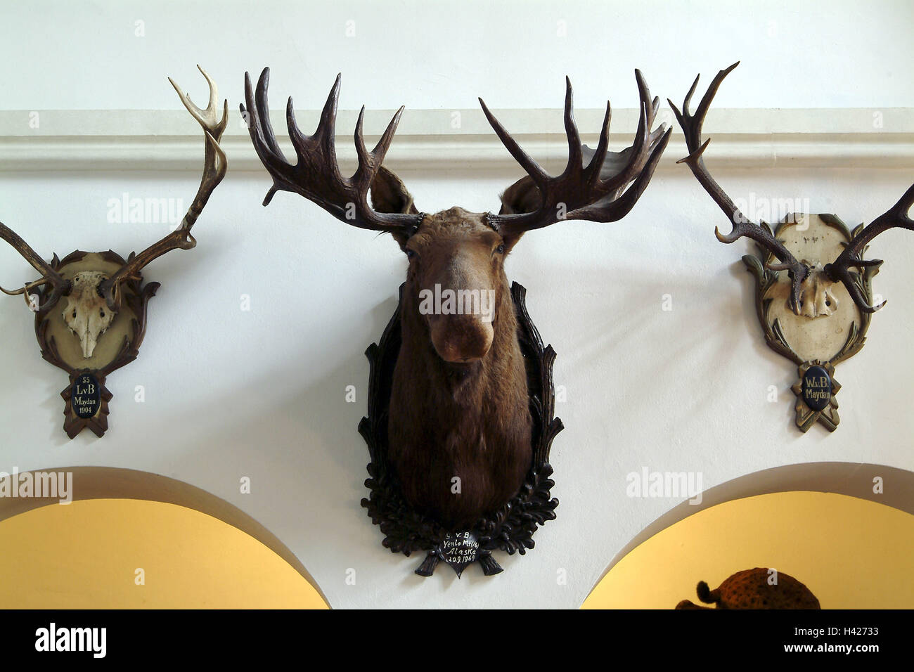 Villa Wall Decoration Trophies Elk Head Antlerses Europe