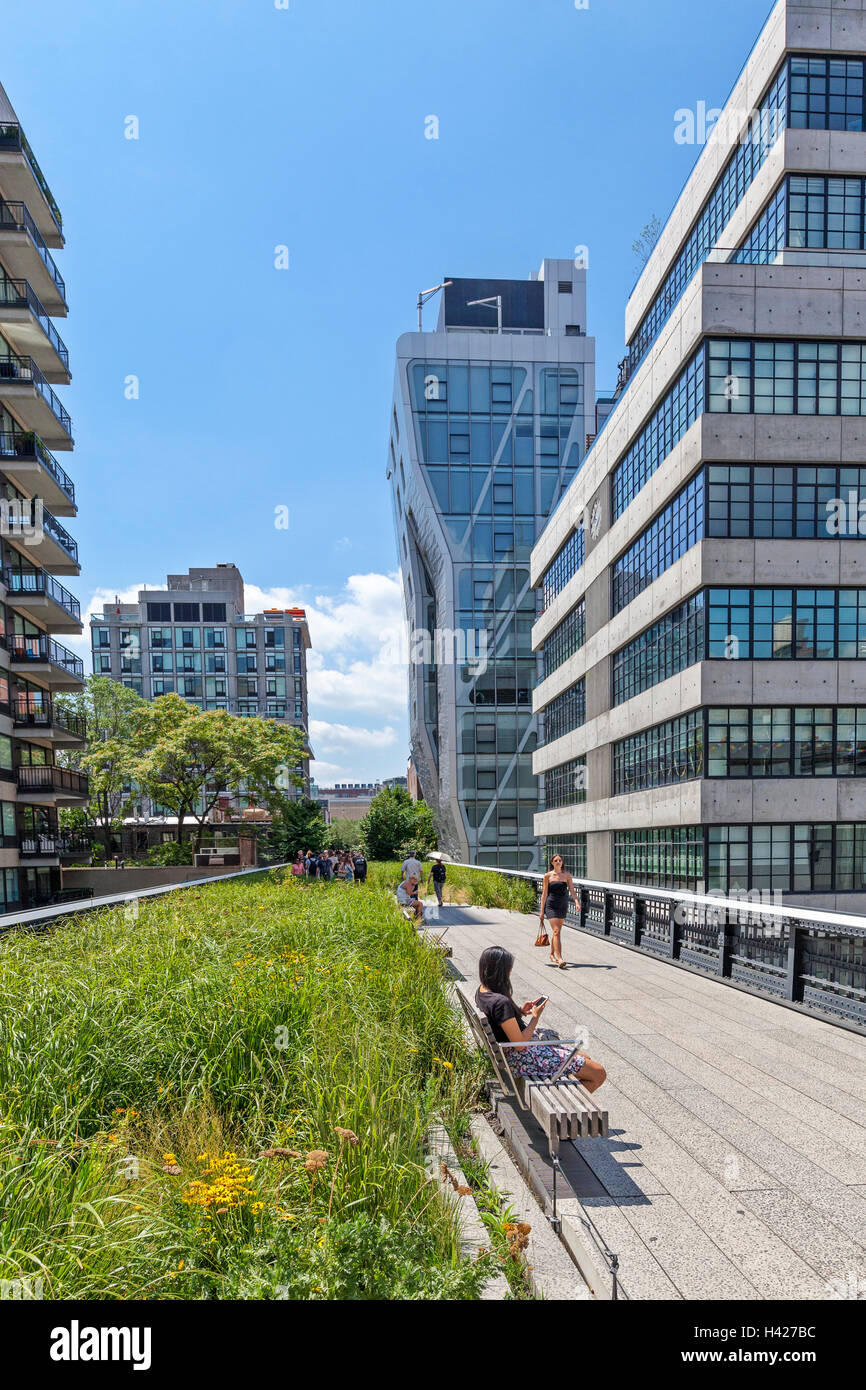 People walking and enjoying The New York City High Line Park Stock ...
