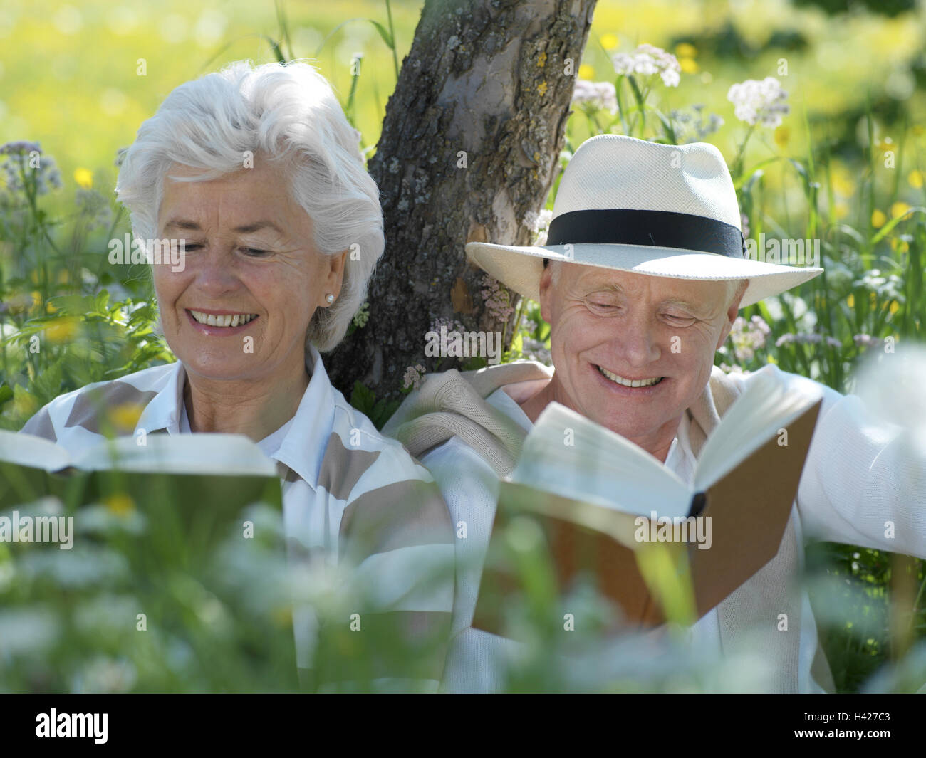 Garden, meadow, tree, senior citizen's couple, read, portrait, summer, park, vacation, summer vacation, retirement, pension, leisure time, hobby, leisure activity, pastime, détente, rest, enjoy, sit, lean together, side by side, aneinanderlehnen, trunk, Best of all Age, old person, couple, senior citizens, happily, happily, amuses, contently, agile, actively, young remaining, headgear, care, partnership, affection, love, suture, luck, comlex, cohesion, common characteristic, interests together, togetherness, togetherness, tuning positively, joy of life, satisfaction, attitude to life, Stock Photo