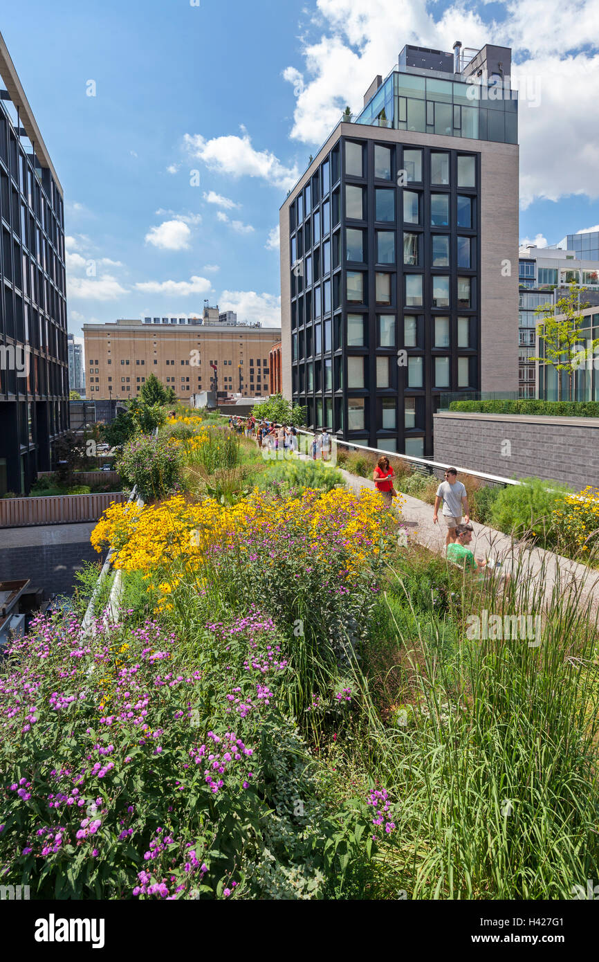 People walking and enjoying The New York City High Line Park Stock ...