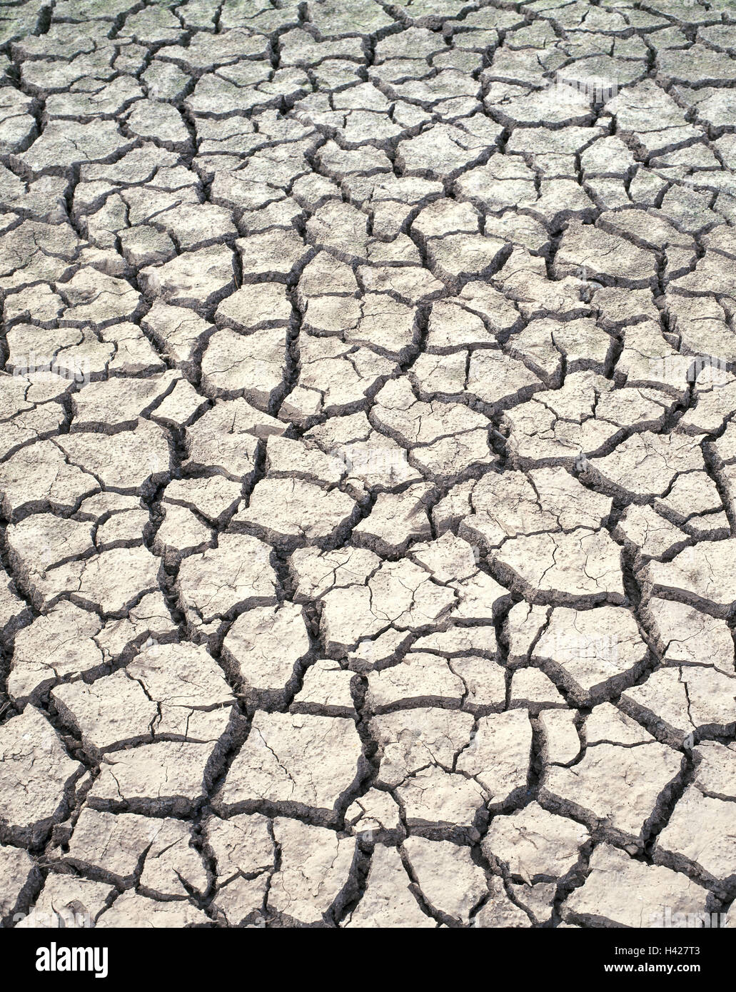 Ground, cracked, dryness, dryness, water shortage, floor, fissures, heat fissures, parched, dried up, life-hostilely, drily, conception, survival fight, thirst, dry weather, heat period, habitat, nature, environment, dry season, dry spell, climate, climat Stock Photo