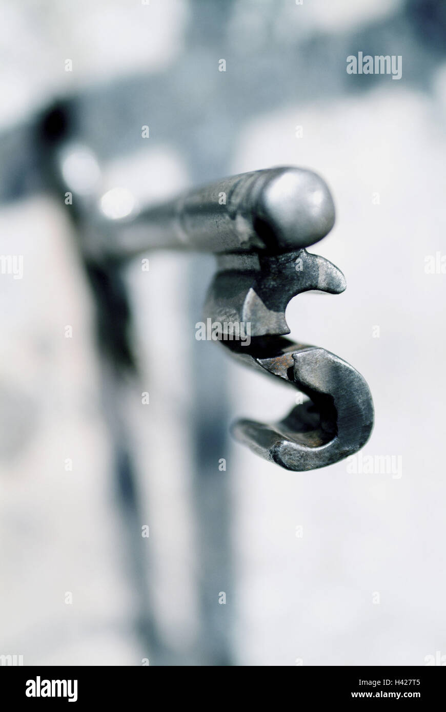 Beard keys, detail, key, old, lock, castle up, lock, enclose, open, protection, access, seal, security, arrest, deprivation liberty, prison, figures, perspective Stock Photo