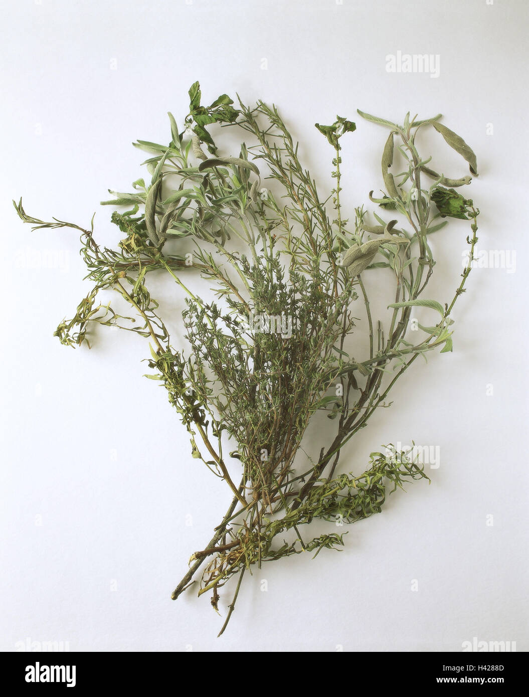 Herbs, dried, Herbs, seasoning herbs, herbs, fixed plants, different