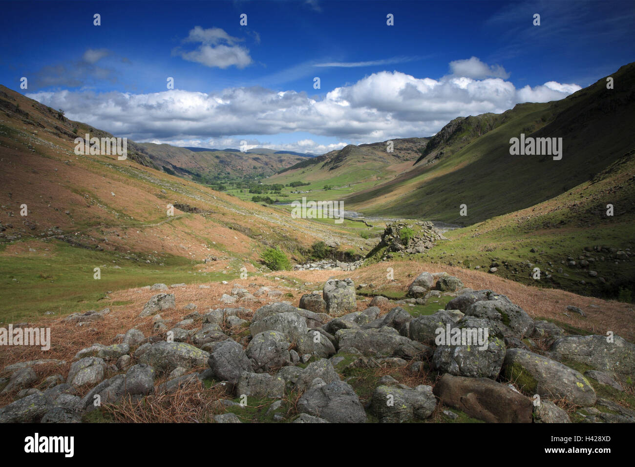 Great Langdale, brine District, Cumbria, England, Great Britain, Stock Photo