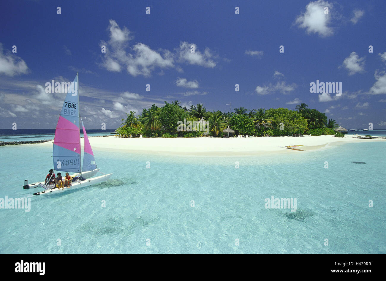 The Maldives, Nakatchafushi, palm island, catamaran, sandy beach, island, palms, palm beach, sea, water, destination, rest, leisure time, foreign travels, exoticism vacation, sunny, summer, outside, ocean, holiday paradise, Idyll, dream vacation, to dream travel, sail, boat, person, tourist, no model release, tourism, Stock Photo